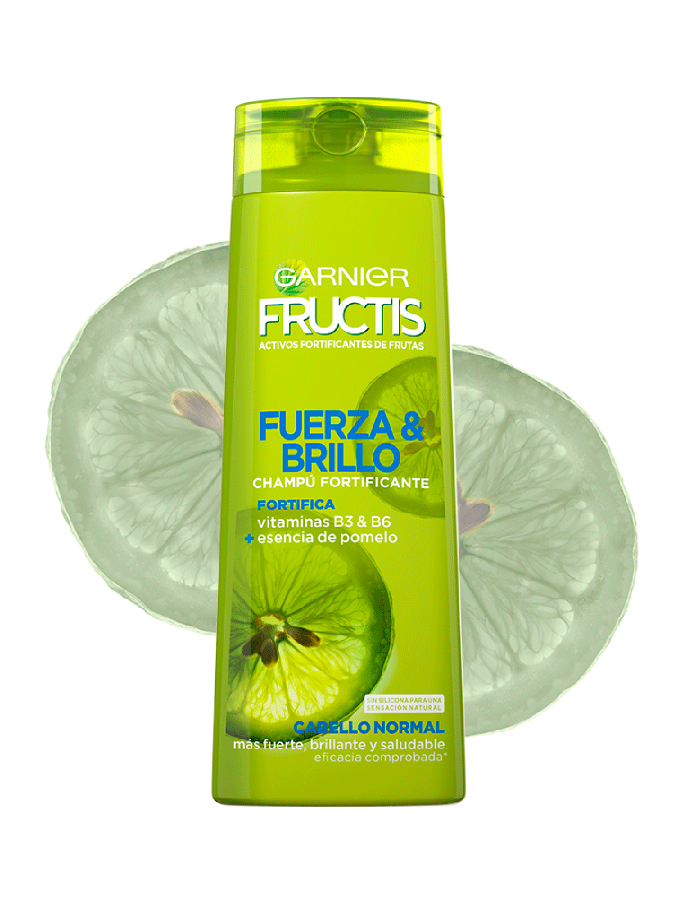 Fructis Fuerza y Brillo